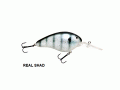 0325 D DM14 REAL SHAD
