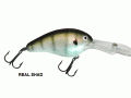 0425 A DM 20 REAL SHAD